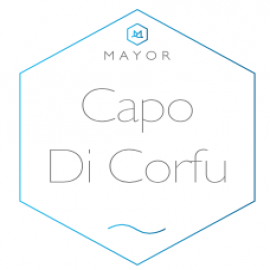 MAYOR HOSPITALITY MANAGEMENT